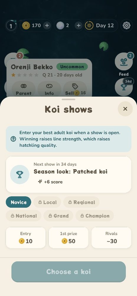 Koi shows